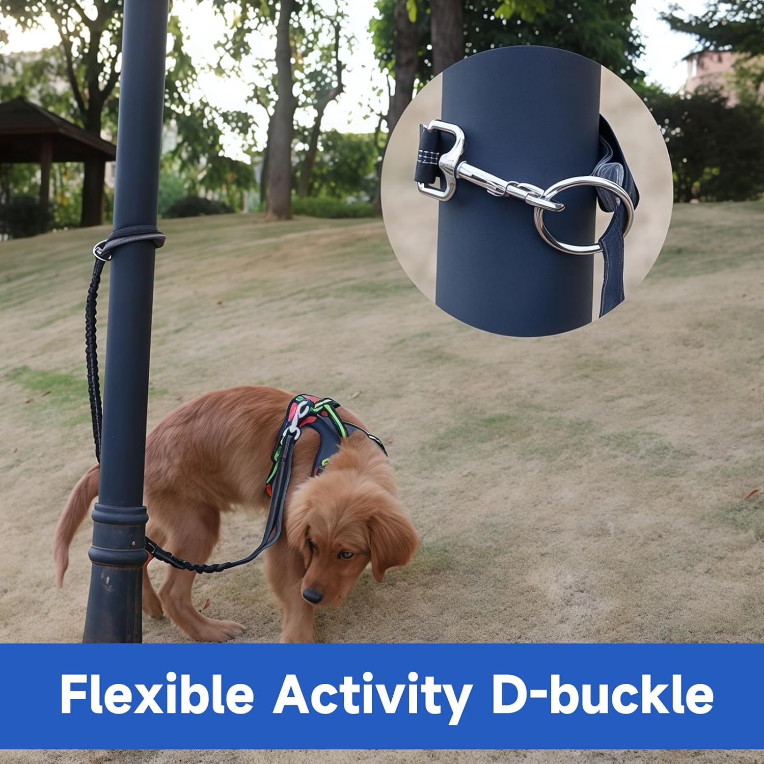 Hands Free Dog Leash with Adjustable Waist Belt Retractable Design Reflective Bungee Cord and Dual Handles for Running Walking Hiking Medium to Large Dogs Includes Zipper Pouch Convenience