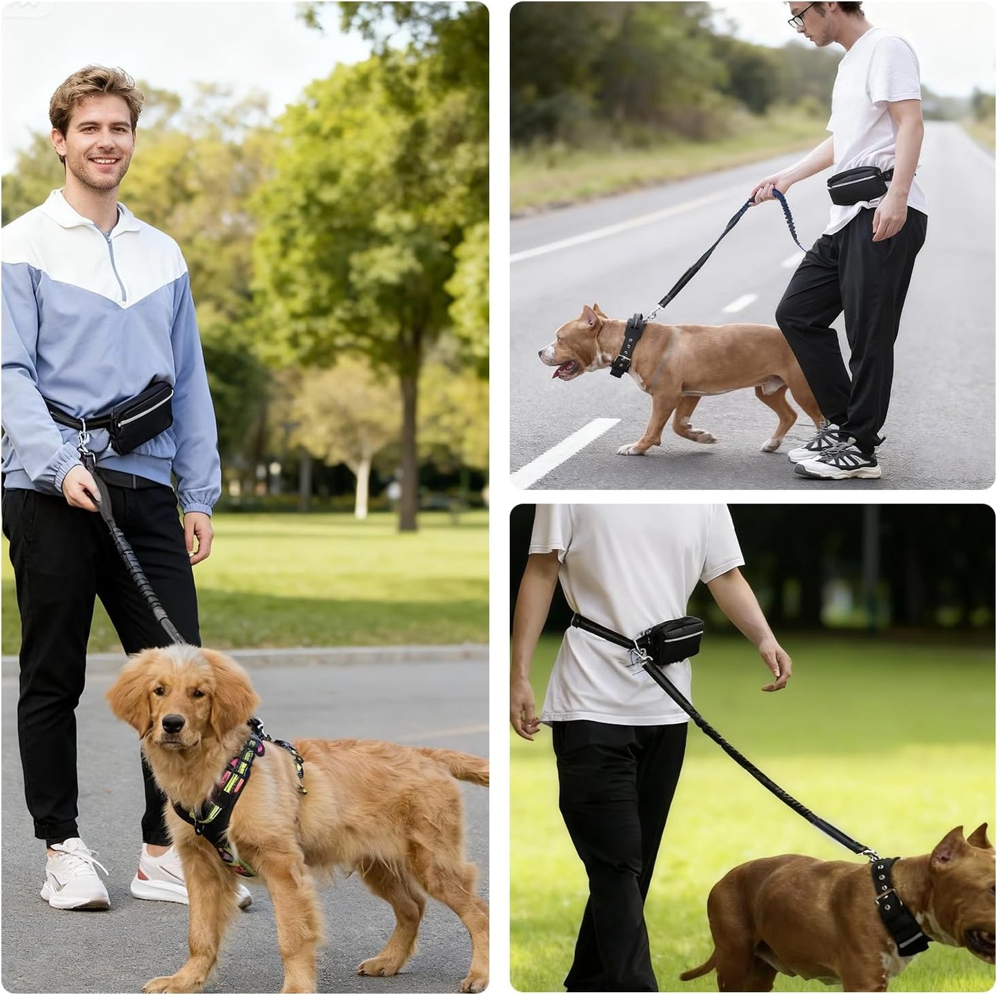 Hands Free Dog Leash with Adjustable Waist Belt Retractable Design Reflective Bungee Cord and Dual Handles for Running Walking Hiking Medium to Large Dogs Includes Zipper Pouch Convenience